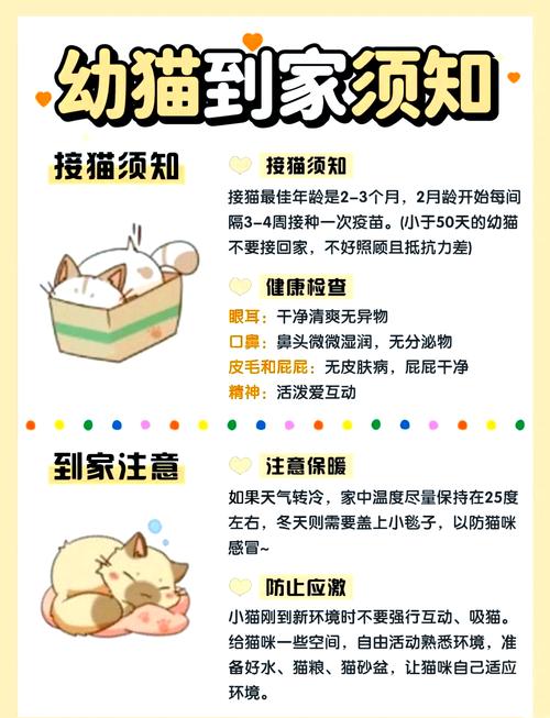猫咪驱虫周期不固定，灵活调整很重要（给猫驱虫多久做一次）