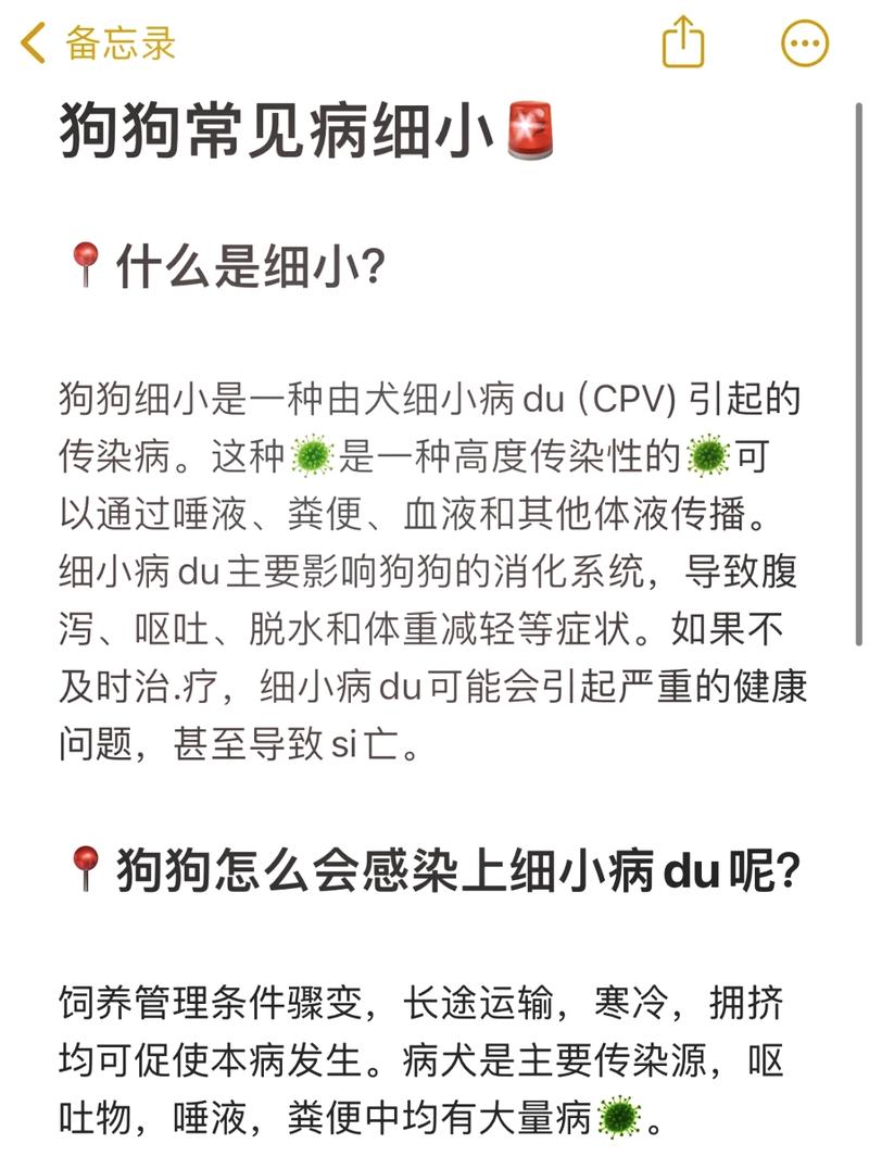 小狗不亲人？查性格经历，多互动观察（小狗仔不亲人是什么原因）