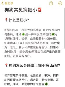 小狗不亲人？查性格经历，多互动观察（小狗仔不亲人是什么原因）