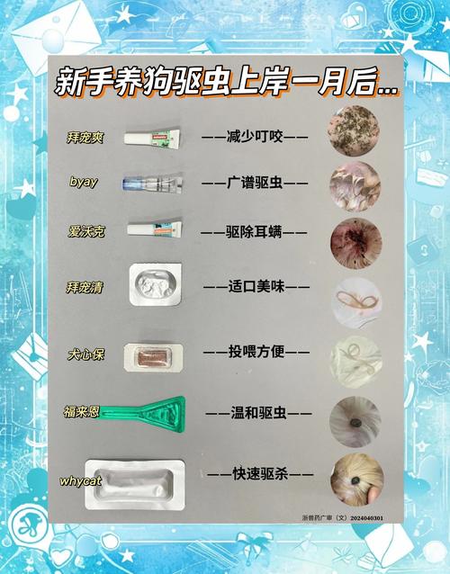 幼犬驱虫全攻略，科学保健康！（小狗什么时候开始驱虫）