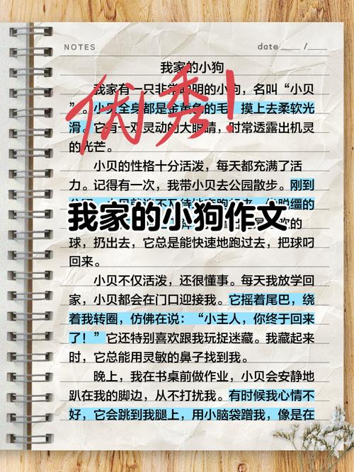 选对小狗品种，用心陪伴，享受温暖陪伴（挑选小狗全文阅读）