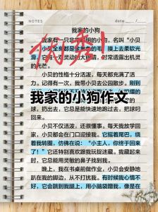 选对小狗品种，用心陪伴，享受温暖陪伴（挑选小狗全文阅读）