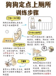 人变狗的哲学交流（怎么把人训练成狗）