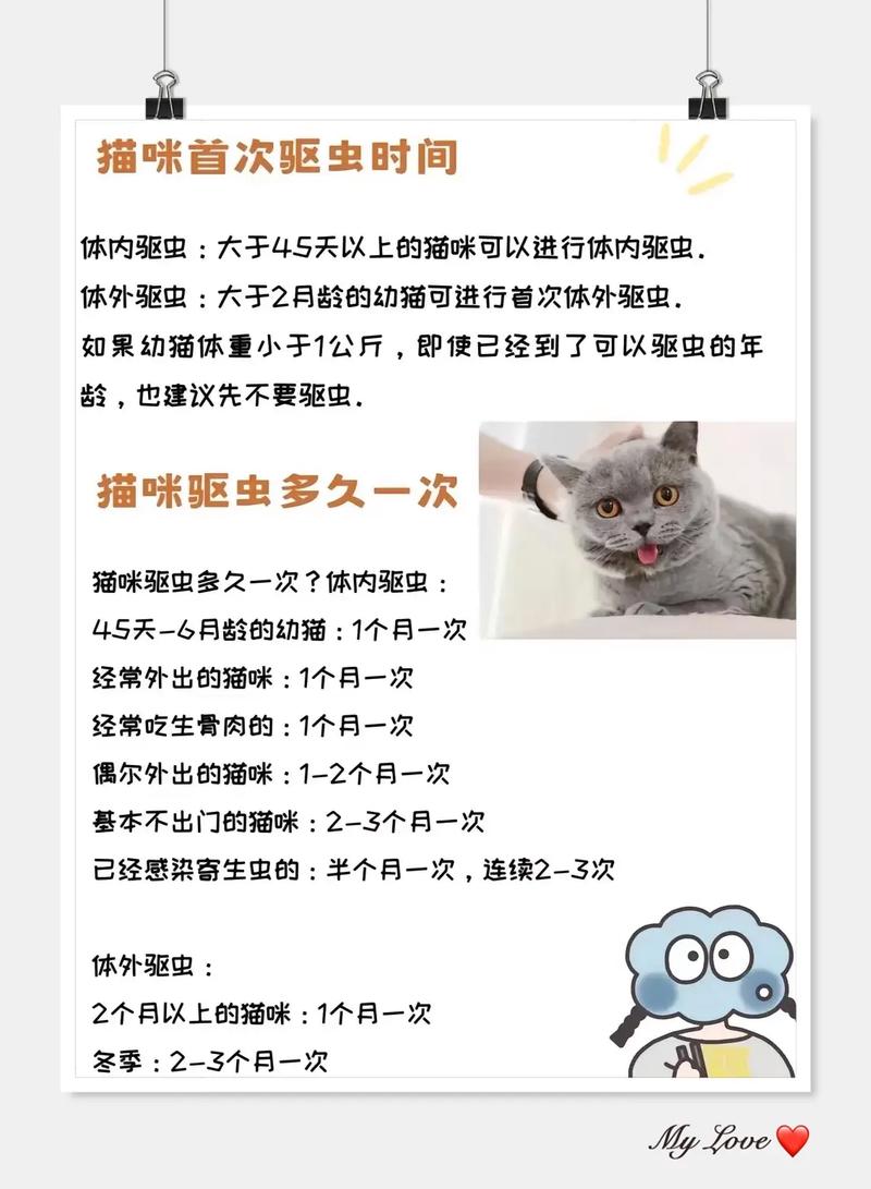 驱虫后48小时勿洗澡，幼猫更久（小猫体外驱虫后多久可以洗澡）