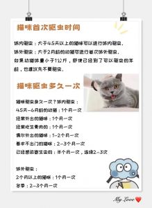 驱虫后48小时勿洗澡，幼猫更久（小猫体外驱虫后多久可以洗澡）