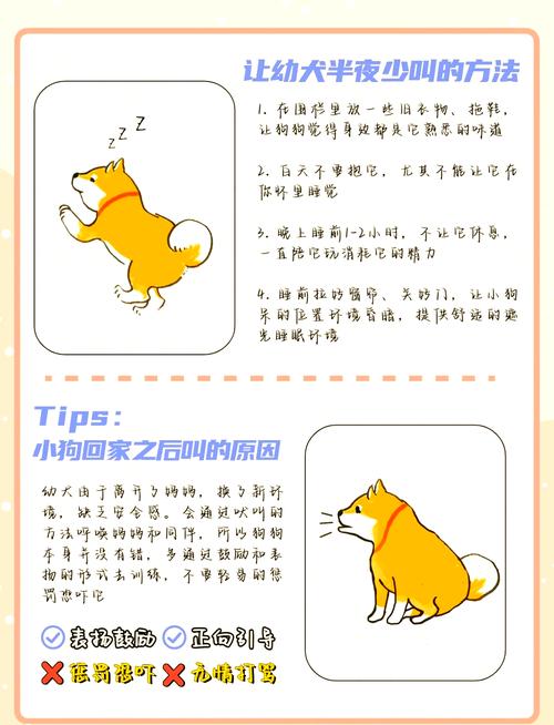 安全信任正向强化（线下怎么调小狗m）
