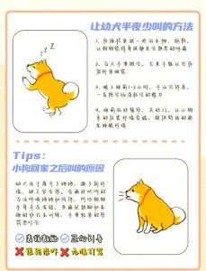 安全信任正向强化（线下怎么调小狗m）