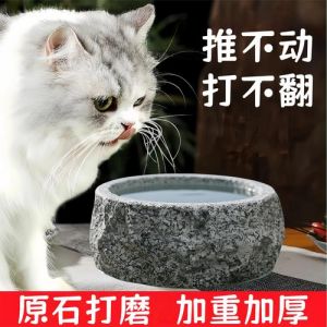 猫碗比马桶脏？及时清洁防病重要！（猫碗为什么不能洗）