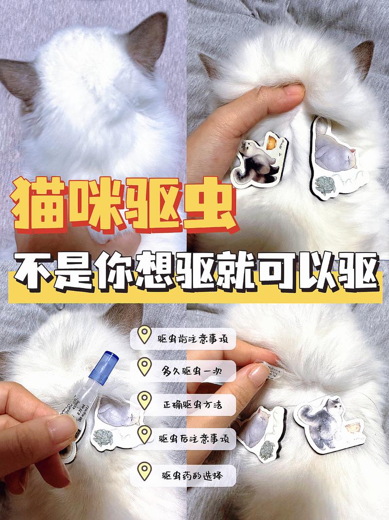 洗澡后三天再体外驱虫，别刺激猫咪皮肤！（猫洗完澡能体外驱虫吗）