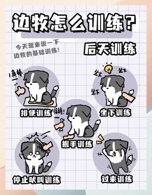 10招教你狗狗听话（小狗狗应该怎么训练）
