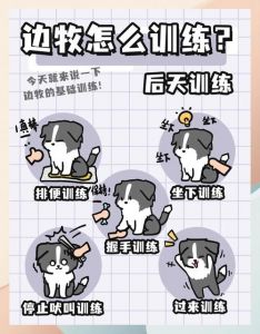 四招训练法（胆小狗狗训练4大诀窍）