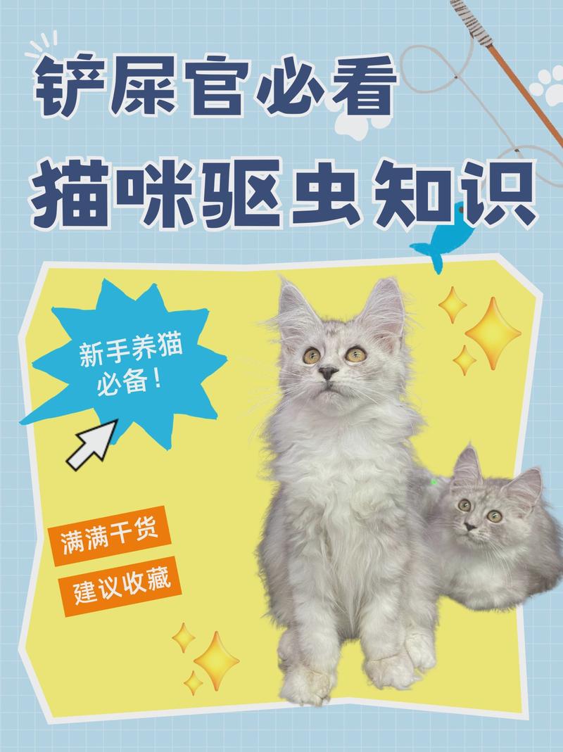 猫咪驱虫时间表，幼猫6周龄开始，成猫按环境调整，孕猫产后减半，老年猫半年一次（猫咪几个月可以驱虫）