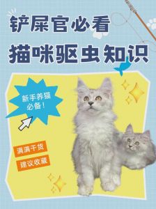 猫咪驱虫时间表，幼猫6周龄开始，成猫按环境调整，孕猫产后减半，老年猫半年一次（猫咪几个月可以驱虫）