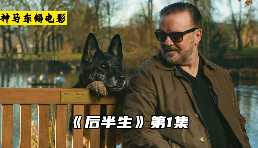 坐定躺立来（s命令小狗的详细步骤详解）