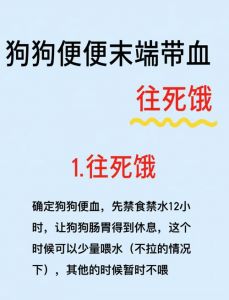 狗狗流产原因多，注意预防及时治（狗狗经常流产为什么）