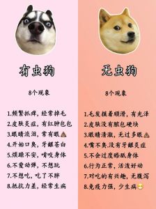 满月小狗如何科学驱虫？（小狗还没满月可以驱虫吗）