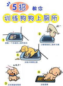 狗狗厕所选好位，用香引，奖励对，耐心教（狗狗厕所放在哪里）