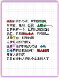 BDSM角色扮演与未成年人保护反思（把人当狗一样训练）
