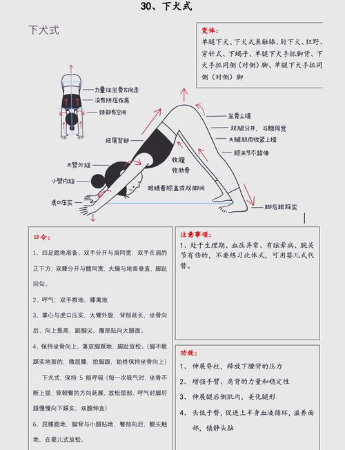 尊重独立，深度连接（怎么把女生训练成小狗）