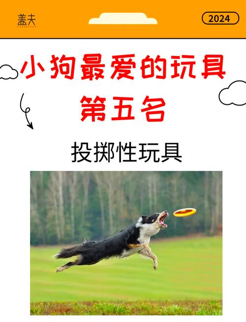 选对玩具，小狗乐成长！（小狗玩具的最佳选择）