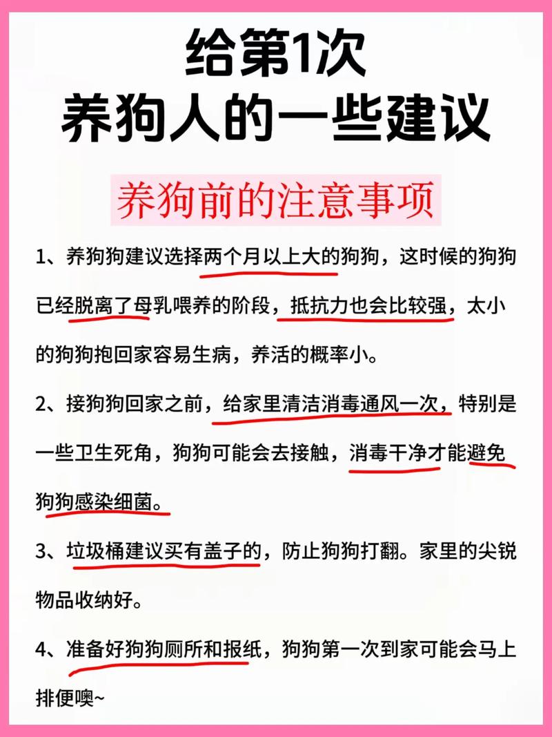 选对犬种 科学养狗 遛狗健康 训练联结（怎么养狗女朋友）