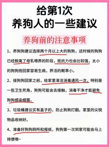 选对犬种 科学养狗 遛狗健康 训练联结（怎么养狗女朋友）