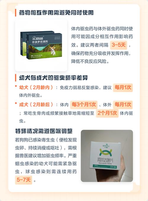 狗狗定期驱虫，健康有保障！（给狗狗体内外驱虫前和后需要注意什么）
