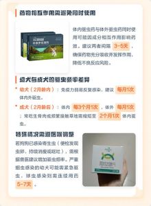 狗狗定期驱虫，健康有保障！（给狗狗体内外驱虫前和后需要注意什么）