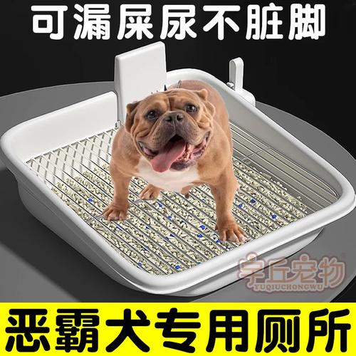 卫生间定点大小便训练指南（怎样训练狗狗在卫生间大小便）
