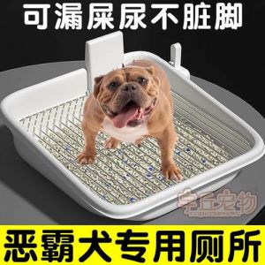 卫生间定点大小便训练指南（怎样训练狗狗在卫生间大小便）