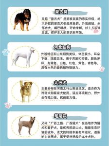 看外观血统和习性（小狗怎么辨别是土狗）
