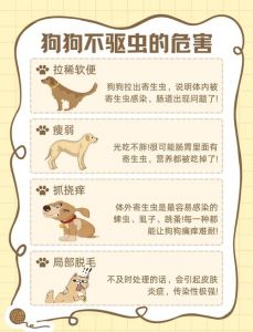 小狗定期驱虫很重要，幼犬每月，成年犬每三个月，特殊情况需调整（小狗驱虫多长时间驱一次）