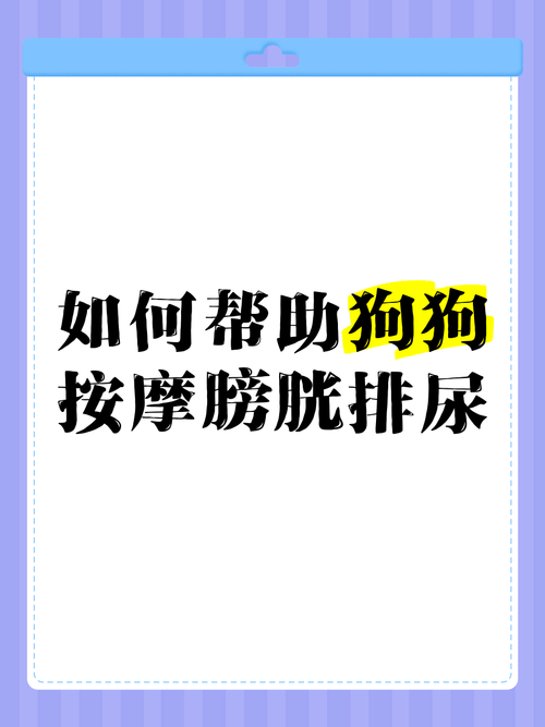 狗狗定点大小便训练（怎样让狗狗在固定的地方小便）