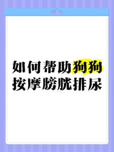 狗狗定点大小便训练（怎样让狗狗在固定的地方小便）
