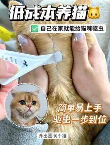 选对宠物驱虫药，按体重精确给药，注意用药频率，清洁环境，用宠物消毒剂，防止寄生虫再次感染猫咪（猫体外驱虫注意事项）