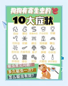 猫咪驱虫前后注意事项（幼猫体外驱完虫需要注意什么）