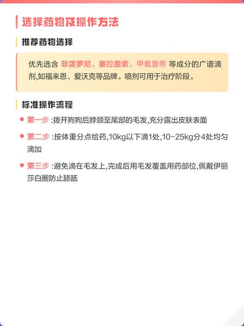 狗狗体外驱虫很重要（体外驱虫狗狗抓到怎么办）