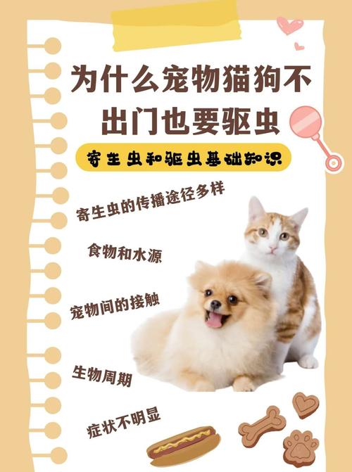 狗狗驱虫很重要，内外都要做！（狗狗驱虫前后注意事项）