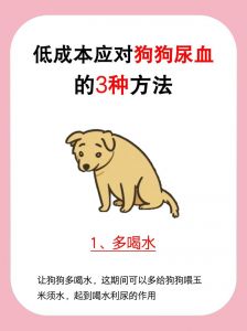 狗狗尿血原因及应对方法（狗狗尿血最快解决方法）