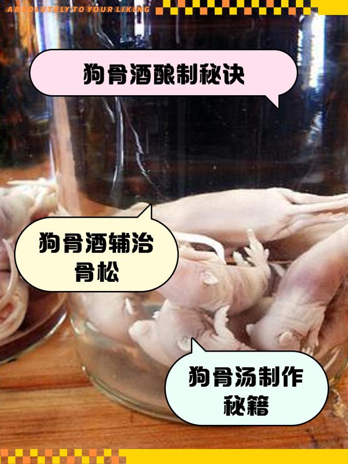 温补调理，改善怕冷腰酸（狗骨头泡酒正确方法）