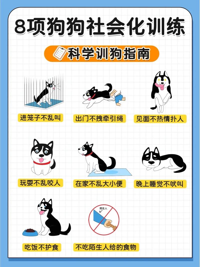 人际交往有底线，宠爱适度防习惯，打破模式要权衡，关系初期塑行为（怎么把人训练的和狗一样听话）