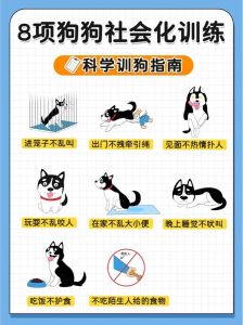 人际交往有底线，宠爱适度防习惯，打破模式要权衡，关系初期塑行为（怎么把人训练的和狗一样听话）
