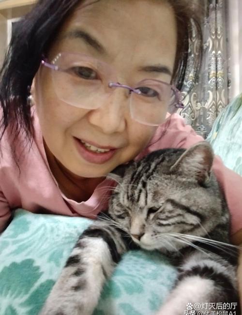 猫咪不听话？天性使然，温柔互动更有效（猫为什么不像狗一样听话）