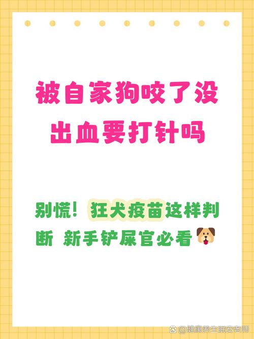 狗狗咬伤处理与预防（狗狗被别的狗咬伤了怎么办）