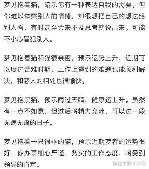 解析内心不安与焦虑（做梦梦到自己的猫打我）