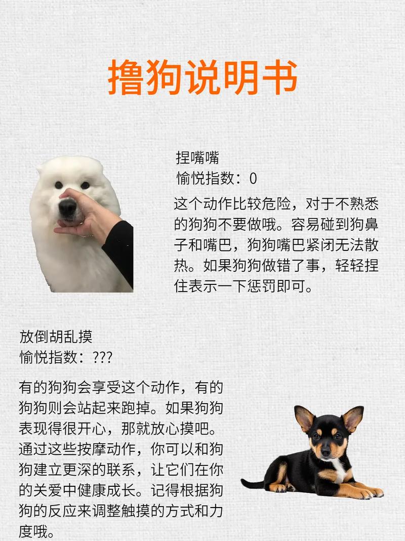 学狗撒娇叫主人（如何让男朋友叫自己小狗）