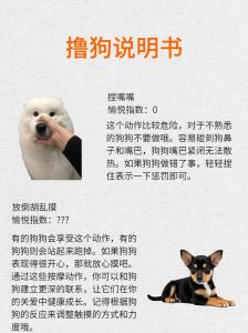 学狗撒娇叫主人（如何让男朋友叫自己小狗）