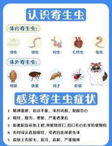 小狗定期驱虫很重要，预防贫血过敏（小狗几个月驱一次虫）