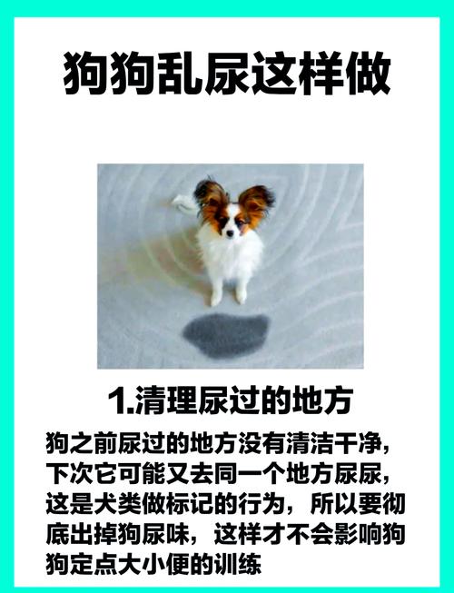 胆小犬不愿出门尿尿？5招轻松解决（胆小的狗狗不在外面尿怎么办）