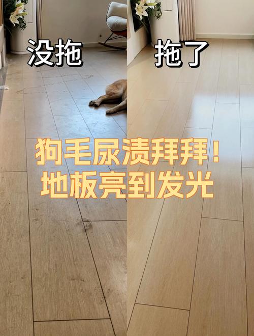 清理狗尿渍，地板瓷砖用对招！（地上狗的尿渍如何清理）